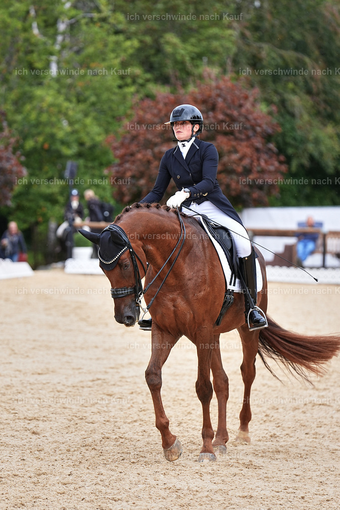11-141-Dressur S___-Marixx-1860 | working equitationturnier fotograf videograf stoibphotography marixx film working equitation deutschland reitsport turnierfotografie eventfotografie equestrian events