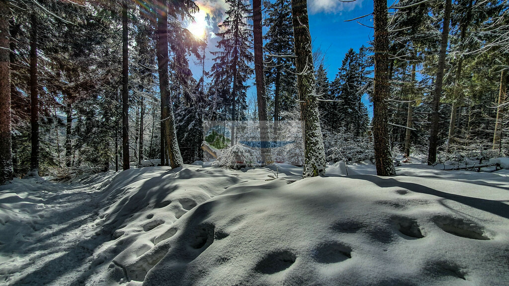 Platte Winter | Impressionen rund um Hochfranken - Frankenwald - Fichtelgebirge - Realisiert mit Pictrs.com