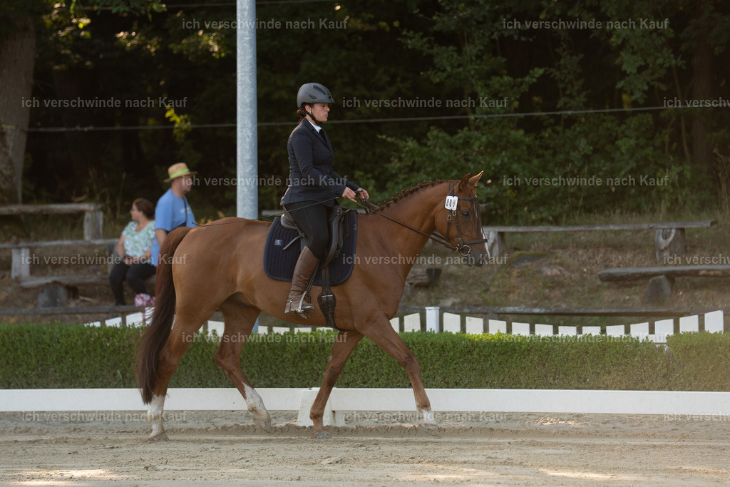 WA_DR_64_SinaFilmArt_IN09977 | working equitationturnier fotograf videograf stoibphotography marixx film working equitation deutschland reitsport turnierfotografie eventfotografie equestrian events