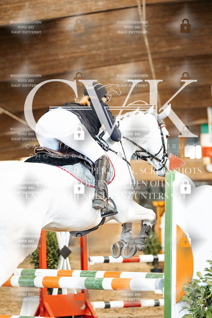 CK905165 | Turnierfotografie Pferdefotografie Trier Rheinland-Pfalz Pferdesport Reitsport Tierfotografie Sportfotografie Pferdevideo Pferdevideografie Equestrianvideography equestrianphotography  - Realized with Pictrs.com