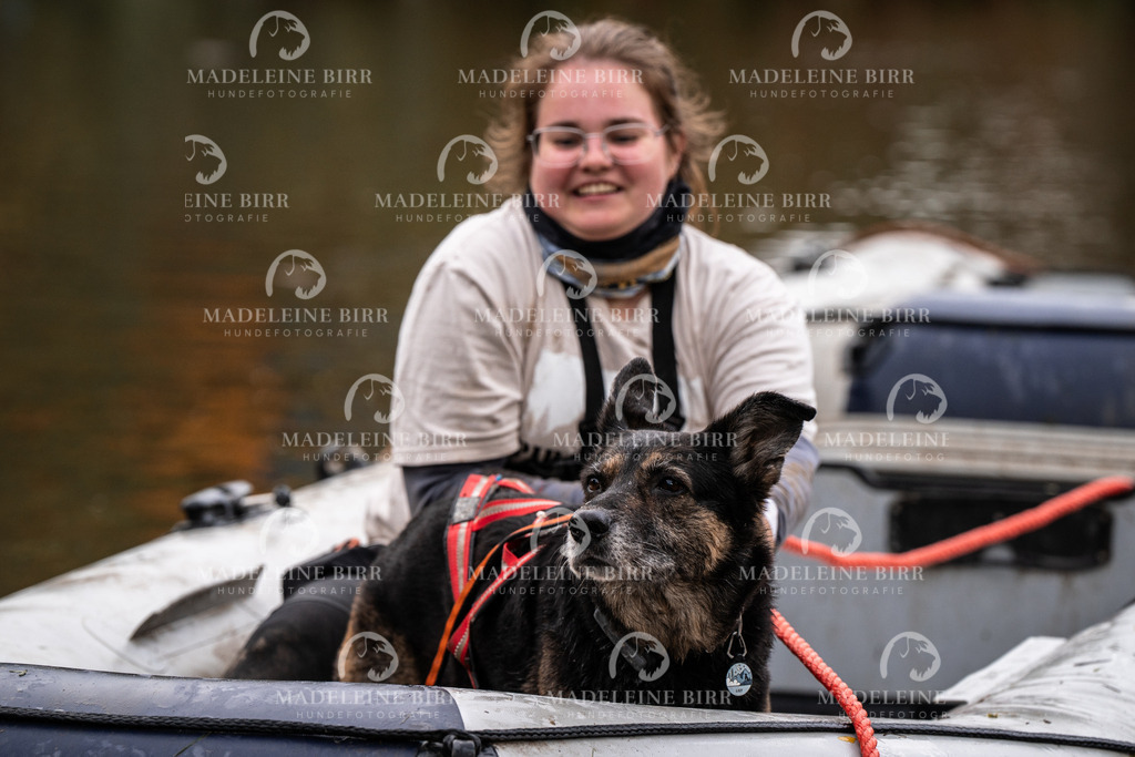 madeleinebirr-fotografie2025.campcanis.Startbis9Uhr-242 | hundefotografie-birr