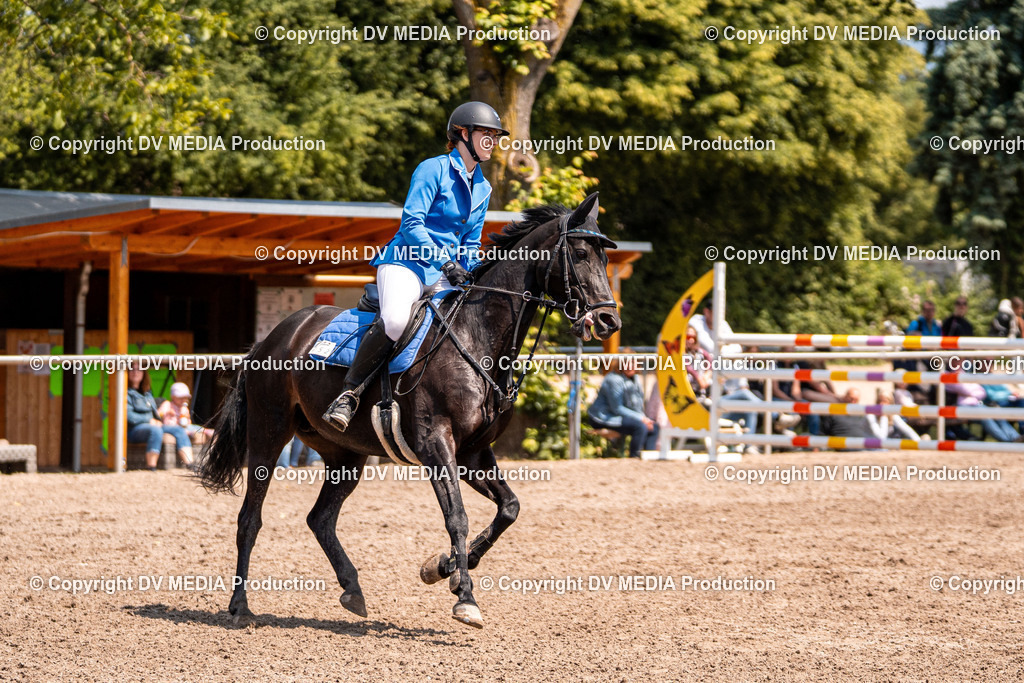 Eppelheim Tag 3-428 | dv-media-shop - Realisiert mit Pictrs.com