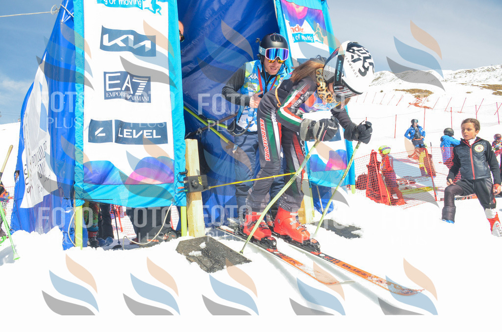 _ELE6270 | holidayphoto