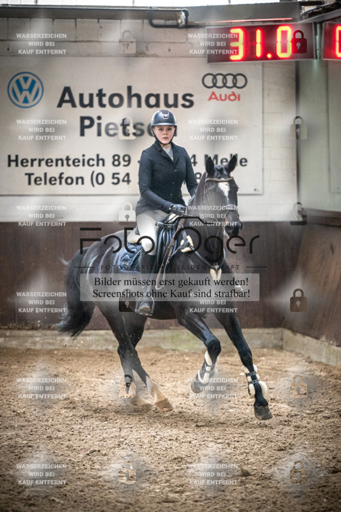 DOS_0239 | Entdecke hochwertige Reitturnierfotos von Foto Oger. Professionell, emotional und authentisch – jetzt Lieblingsmomente im Shop bestellen.Deutschlandweite Turnierfotografie. - Realisiert mit Pictrs.com