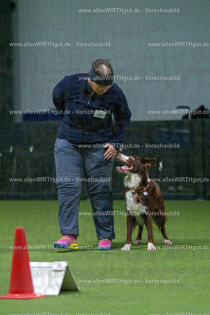 7R500066 | Professionelle Tierfotografie in Mönchengladbach von Daniel Wirth (allesWIRTHgut). Liebevolle & natürliche Bilder von Hunden & Katzen für unvergessliche Erinnerungen.