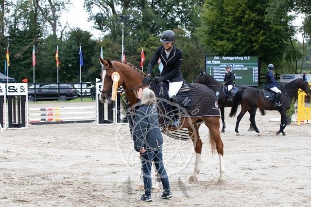 2B4A2350 | pixelfaenger - Realisiert mit Pictrs.com