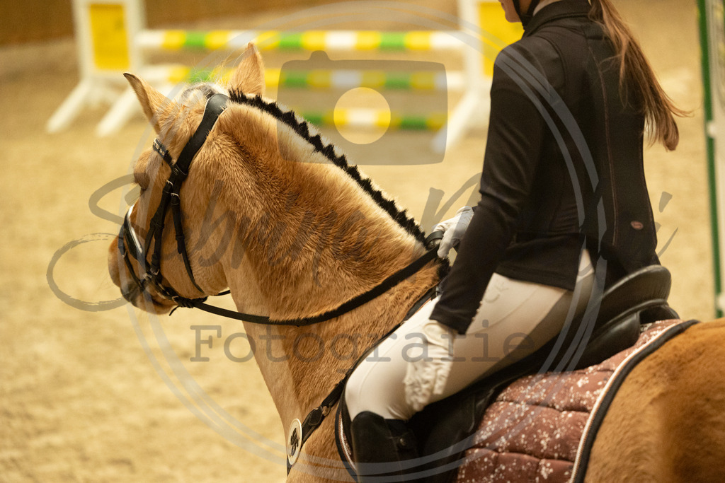 994A5465 | sabrinanicolaifotografie - Realisiert mit Pictrs.com