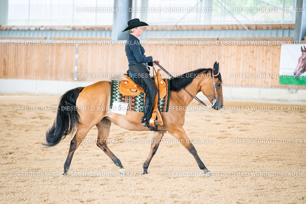 DSC01877 | Pferdegrafie