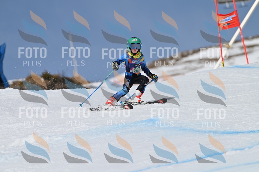 BGV_7319 | holidayphoto