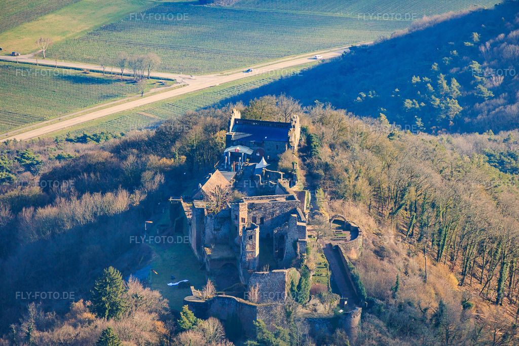 Luftbild: Burgruine Madenburg aus Norden in Eschbach im Bundesland Rheinland-Pfalz in Deutschland.Foto: IMG_153200.jpg vom 25.02.2026 durch Werner Riehm/FLY-FOTO.deAuflösung des Originals: 5620 x 3747 px