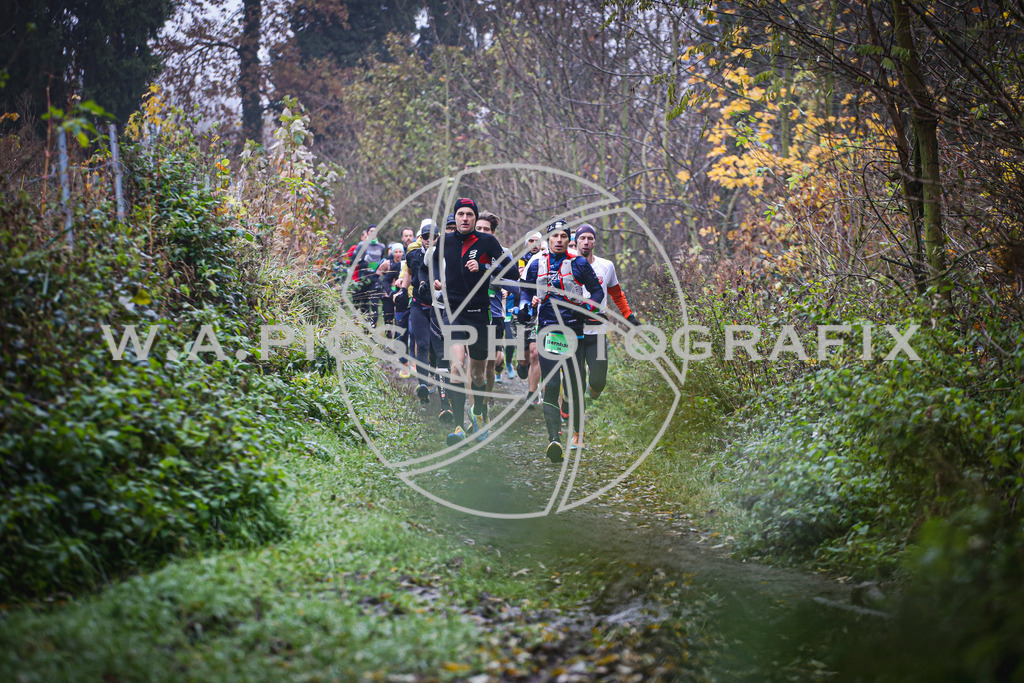 ..... | LEONDING,AUSTRIA,8.November 25, Kürnberglauf 2025  , Image shows: Photo: WAPICS / Andreas Willdoner
