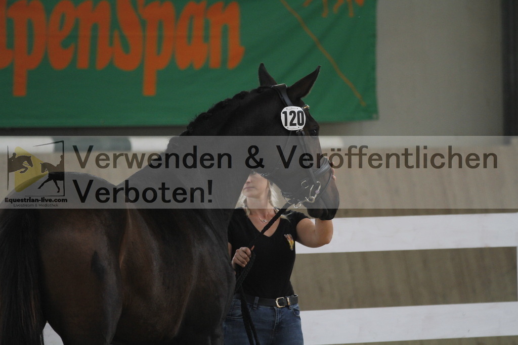 _MG_9956 | equestrian-live-com