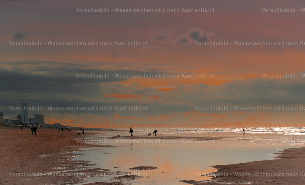 DSC01569-Enhanced-NR-2 | marcuslinek