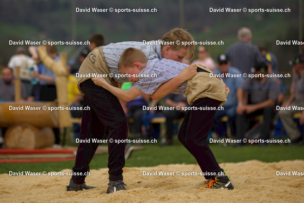 Fankhauser Kevin (2014) - Feuz Noa (2014) 11.04.2026 Plaffeien Abendschwinget Sense (1)-1 | Fankhauser Kevin (2014) - Feuz Noa (2014) 11.04.2026 Plaﬀeien Abendschwinget Sense