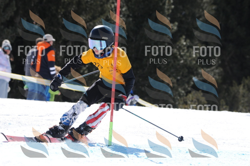 C8998 | holidayphoto