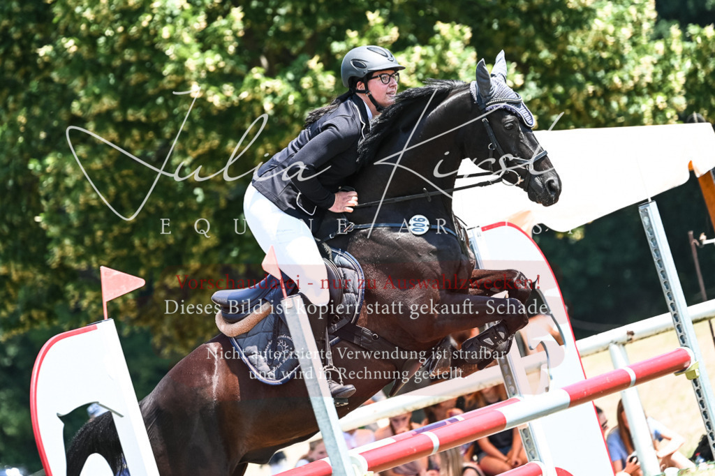 DSC_0203 | Pferde- und Turnierfotografie in Westsachsen. Pferdeportraits, Auftragszeichnungen und intuitive Kunst.