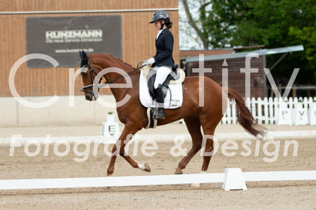 IMG_4409 | Creatify Fotografie