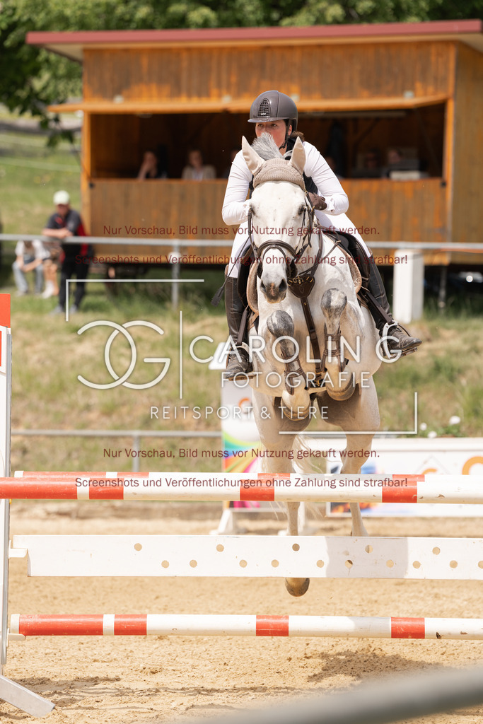 DSC06686 | Springturnier_Ehingen_Mai_2026, Melissa_Ramminger, Lemook