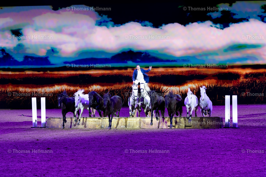 TH_Hopi Topi Show_26828 | EQUITANA 2025 am 08.03.25 in Essen