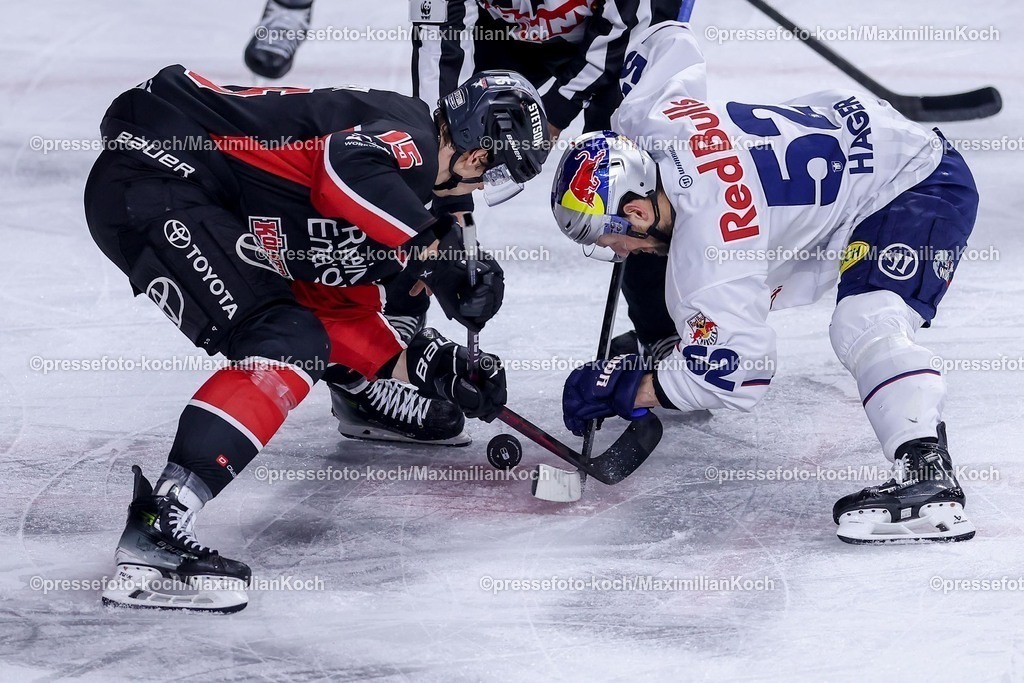 KEC28012501037 | 28.01.2025, Eishockey, DEL, Kölner Haie - EHC Red Bull München, Spieltag 41, Lanxess-Arena Köln: Beim Zweikampf um den Bully (Louis-Marc Aubry (Kölner Haie #15) gegen Patrick Hager (EHC München #52)) bricht der Schläger von (Louis-Marc Aubry (Kölner Haie #15)  in Zwei Hälften auseinander