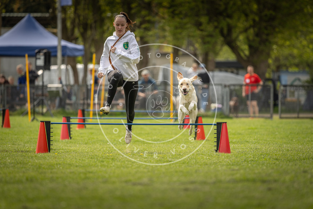 Pfotenfotografie_DV3A5923 | Hundefotografie, Tierfotograf, Pfotenfotografie, Fotoshooting Hund, Hunde Portrait, Hundesport, Hundeportraits, Heideshooting, Hunde, Sportfotograf, Hundefotograf, Turnierhundsport, THS,  - Realisiert mit Pictrs.com