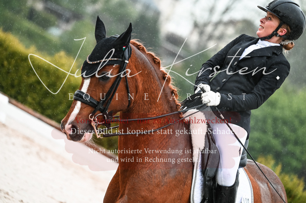 DSC_4627 | Pferde- und Turnierfotografie in Westsachsen. Pferdeportraits, Auftragszeichnungen und intuitive Kunst.