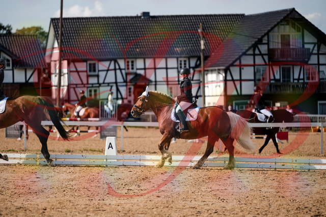 2026_10_03_Siefer-Hof_130340_Z63_65858785 | Professionelle Reitsport-, Turnier- und Eventfotografie von Robert Broda. Galerien mit ausgewählten und bearbeiteten Bildern direkt online ansehen und bestellen.