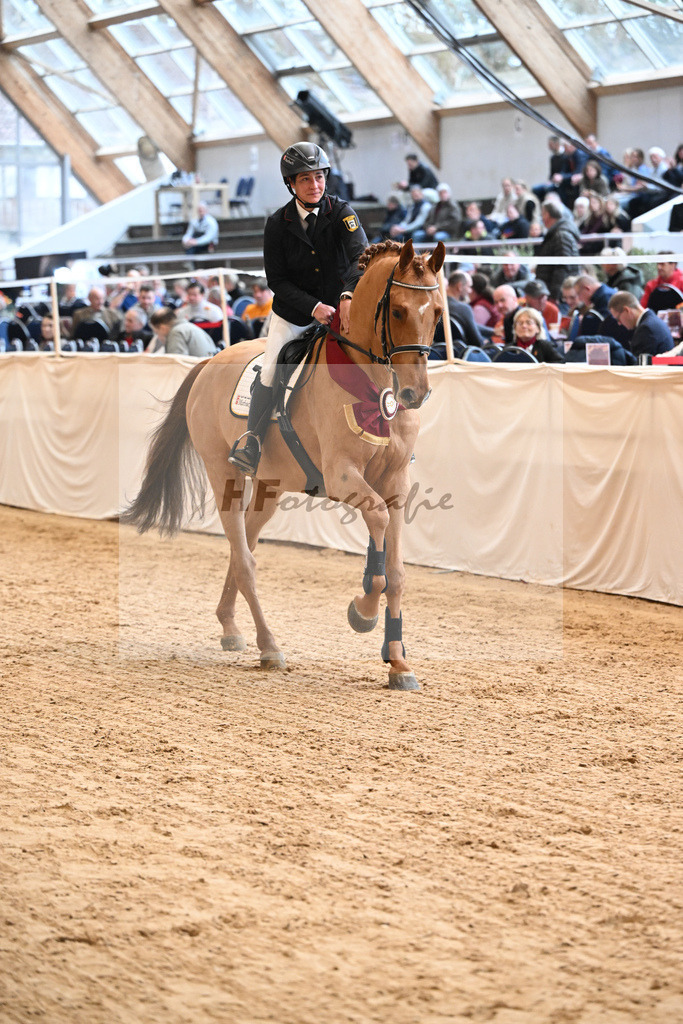 Arezzo Gold_HLG Marbach_2251374 | hf-fotografie - Realisiert mit Pictrs.com