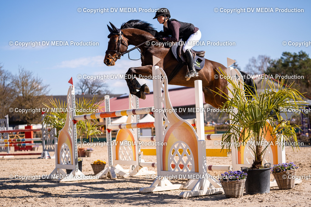 Kranichstein Tag 2-768 | dv-media-shop - Realisiert mit Pictrs.com