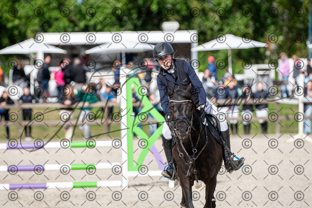 KPT_6645 | andre_photographic