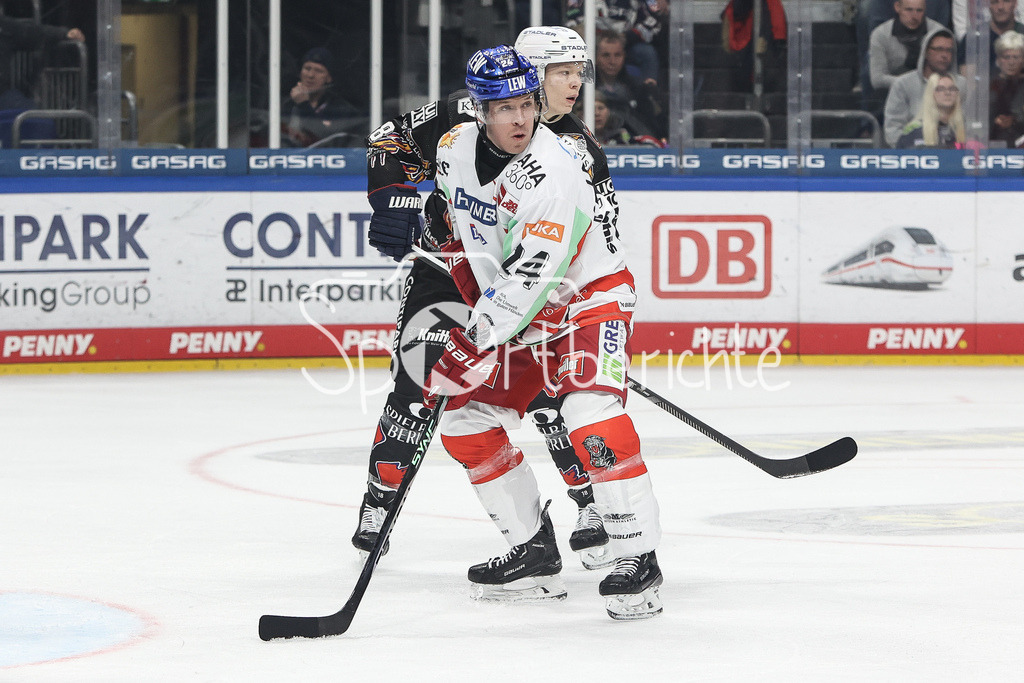 Eisbären Berlin - Augsburger Panther | Im Duell mit einem Berliner, Thomas Jordan TREVELYAN (AEV #24)
