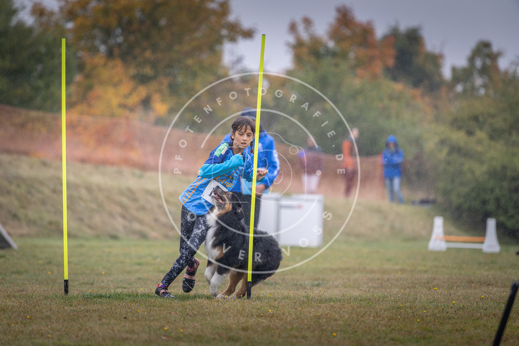 Pfotenfotografie_DV3A0005 | Hundefotografie, Tierfotograf, Pfotenfotografie, Fotoshooting Hund, Hunde Portrait, Hundesport, Hundeportraits, Heideshooting, Hunde, Sportfotograf, Hundefotograf, Turnierhundsport, THS,  - Realisiert mit Pictrs.com