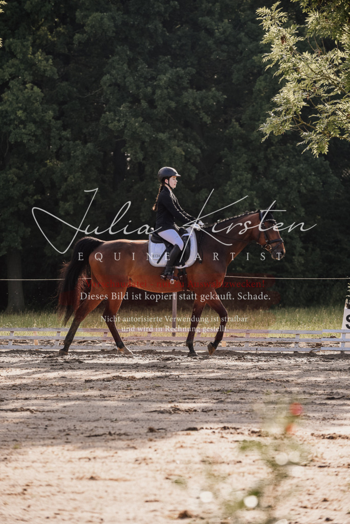 DSC_7899 | Pferde- und Turnierfotografie in Westsachsen. Pferdeportraits, Auftragszeichnungen und intuitive Kunst.
