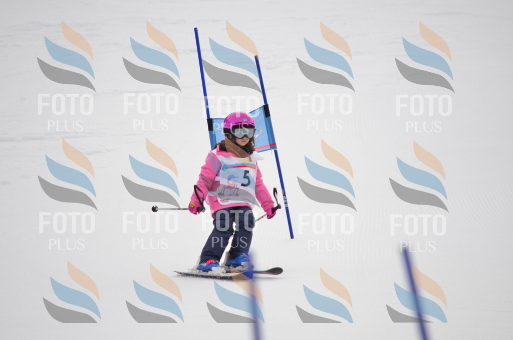 B9940 | holidayphoto