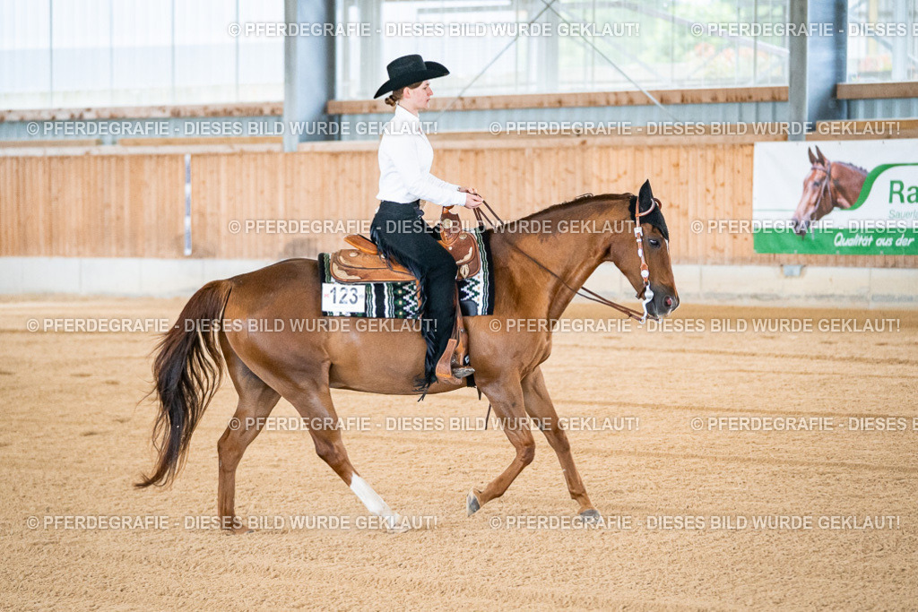 DSC01150 | Pferdegrafie