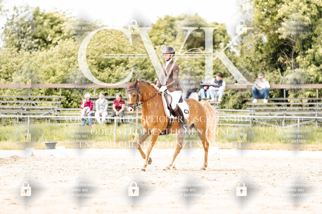 CK901424 | Turnierfotografie Pferdefotografie Trier Rheinland-Pfalz Pferdesport Reitsport Tierfotografie Sportfotografie Pferdevideo Pferdevideografie Equestrianvideography equestrianphotography  - Realisiert mit Pictrs.com