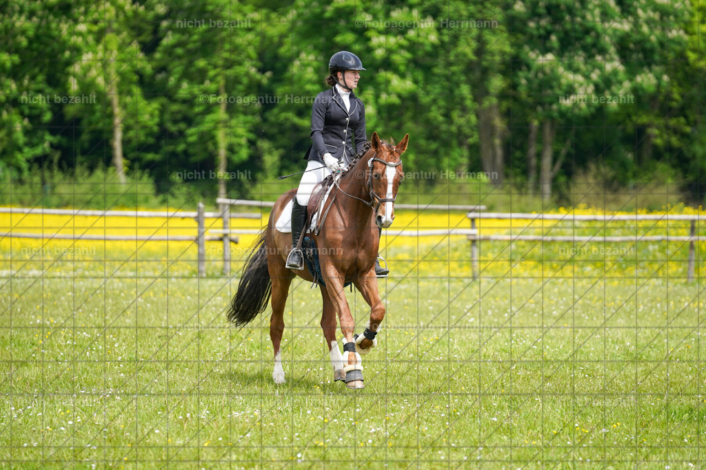 20230521-FAH06190 | Frühjahrsturnier, Landsberg am Lech, 2023, Reitclub Landsberg, Turnierbilder, Fotos Turnier Landsberg, Fotoagentur Herrmann, Turnierfotografen Bayern, Reitsport Fotograf, Pferde Fotograf