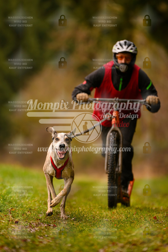 MompixPhotography_2SSTSSBW_2025_SO_Scooter-15 | PayLife