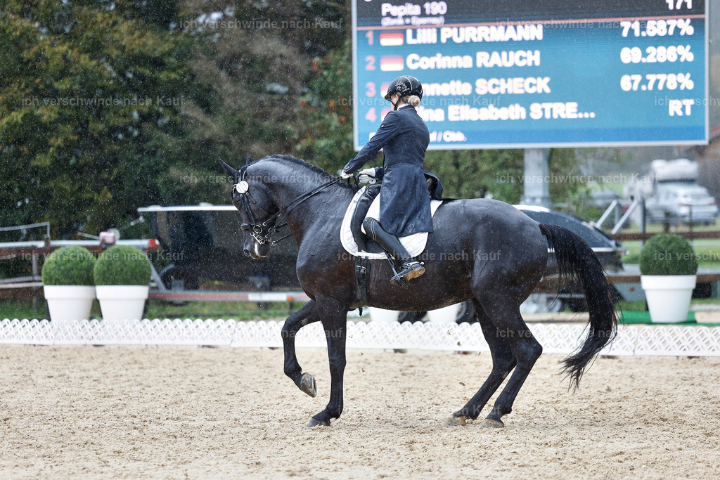 8_2-171-DRESSUR S_  -StoibPH-4502 | working equitationturnier fotograf videograf stoibphotography marixx film working equitation deutschland reitsport turnierfotografie eventfotografie equestrian events