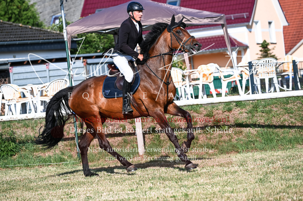 DSC_7462 | Pferde- und Turnierfotografie in Westsachsen. Pferdeportraits, Auftragszeichnungen und intuitive Kunst.