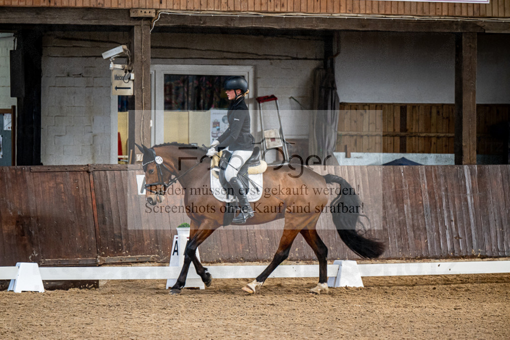 20240310-DOS_9569 | Entdecke hochwertige Reitturnierfotos von Foto Oger. Professionell, emotional und authentisch – jetzt Lieblingsmomente im Shop bestellen.Deutschlandweite Turnierfotografie. - Realisiert mit Pictrs.com
