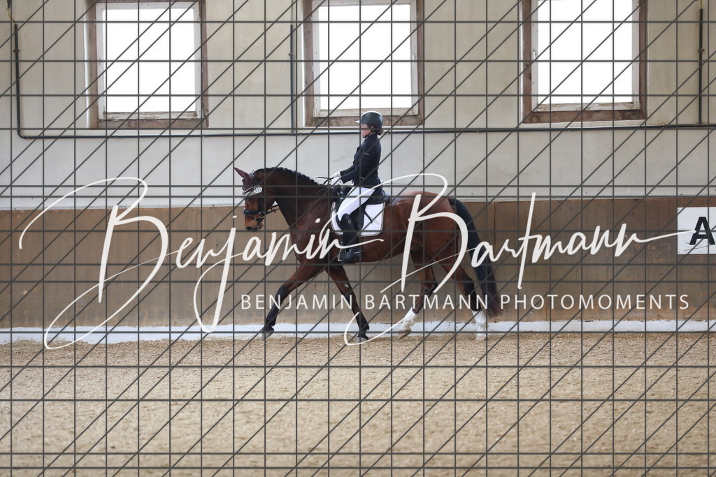 AZ2A0512 | Benjamin Bartmann Photomoments