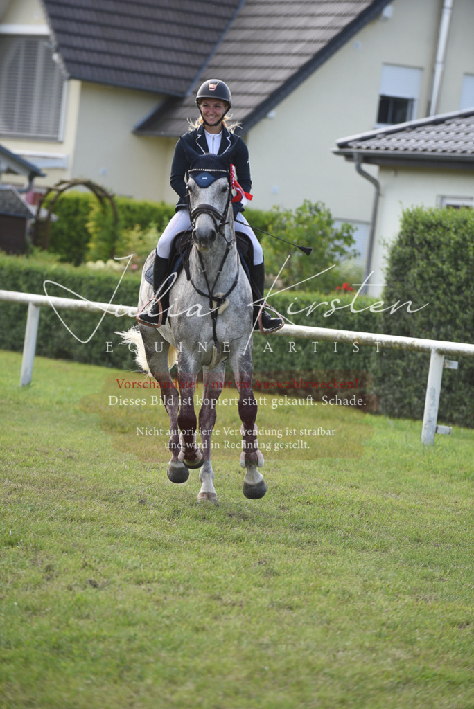 DSC_9005 | Pferde- und Turnierfotografie in Westsachsen. Pferdeportraits, Auftragszeichnungen und intuitive Kunst.