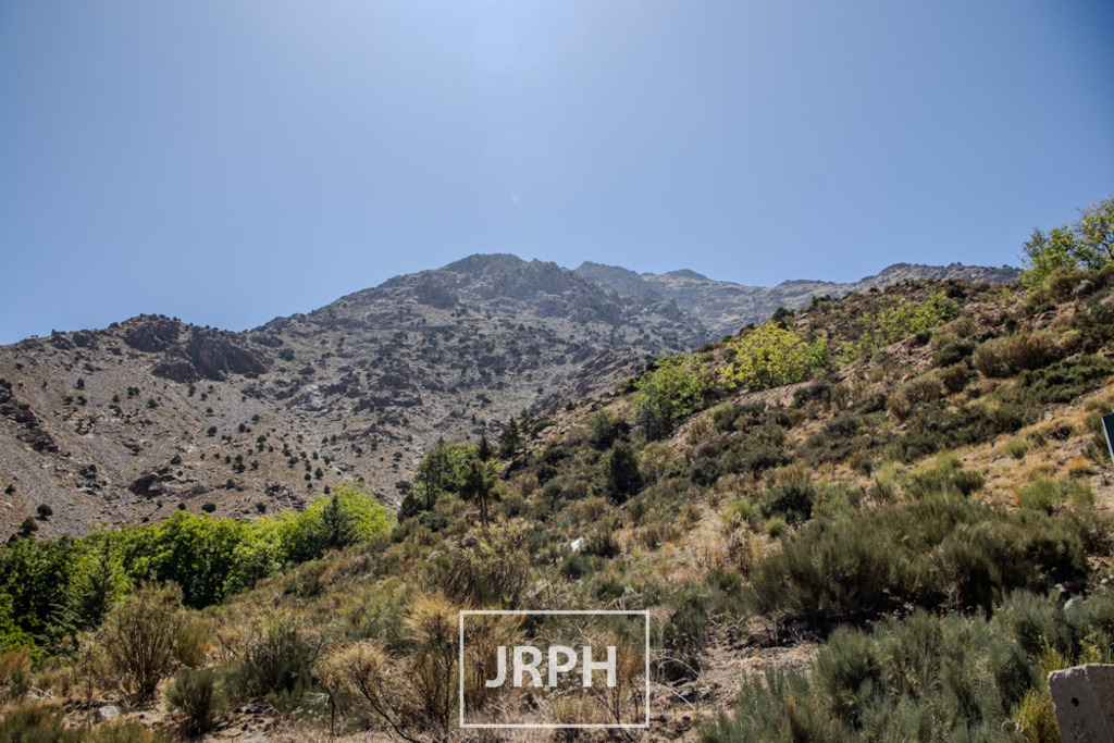 IMG_8874 | jrph - Realisiert mit Pictrs.com