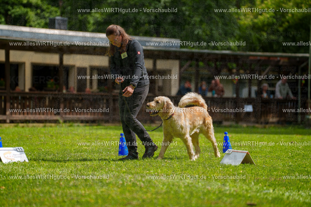 @allesWIRTHgut_Tierfotografie - www.allesWIRTHgut.de - 7R501580 | Professionelle Tierfotografie in Mönchengladbach von Daniel Wirth (allesWIRTHgut). Liebevolle & natürliche Bilder von Hunden & Katzen für unvergessliche Erinnerungen.