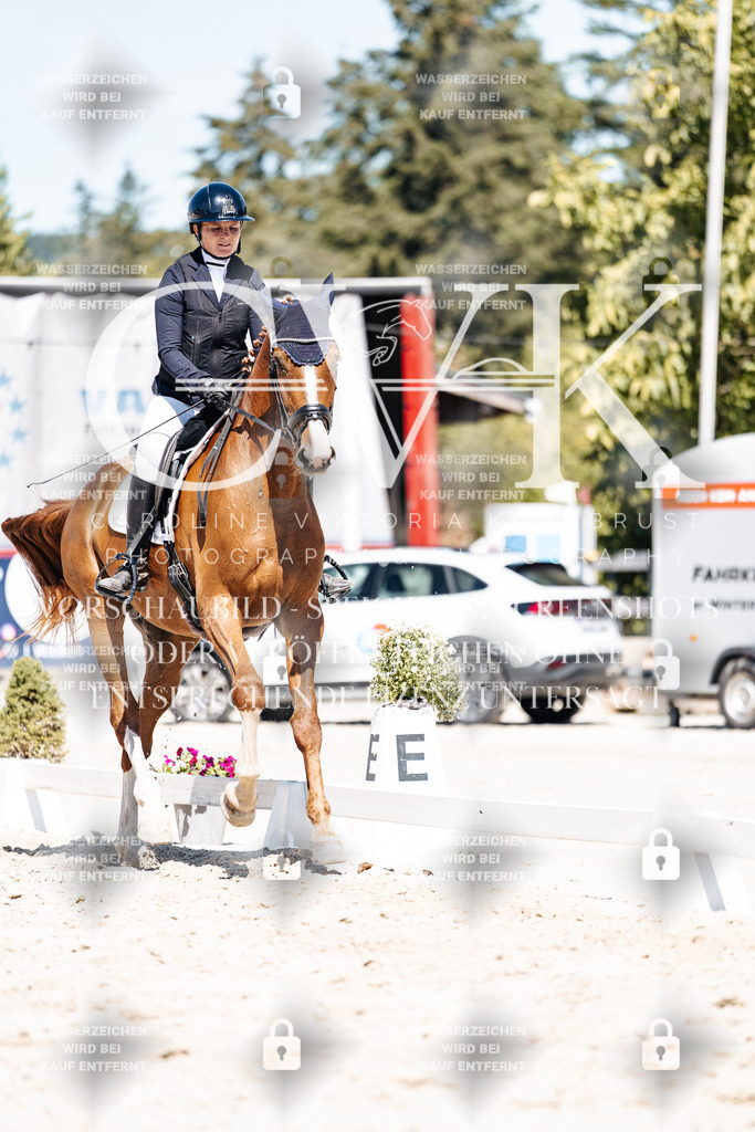 CK900070 | Turnierfotografie Pferdefotografie Trier Rheinland-Pfalz Pferdesport Reitsport Tierfotografie Sportfotografie Pferdevideo Pferdevideografie Equestrianvideography equestrianphotography  - Realisiert mit Pictrs.com
