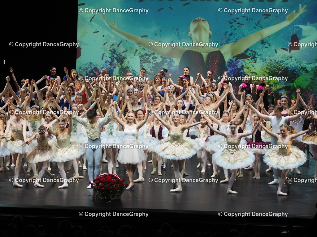 P7260513 | DanceGraphy - Realisiert mit Pictrs.com