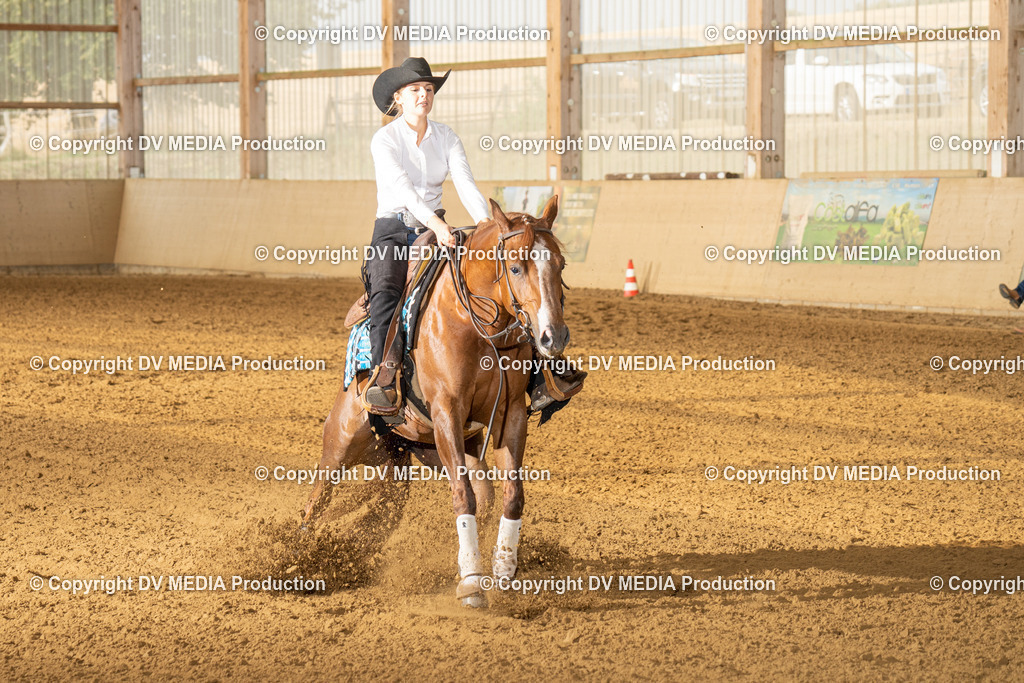 LAU01409 | dv-media-shop - Realisiert mit Pictrs.com