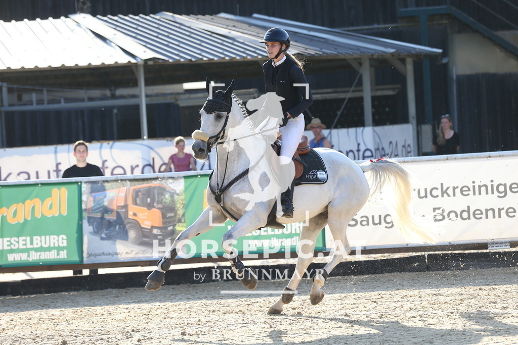 DL2Q0757 | Willkommen bei Brunnmayr - Design & Fotografie – Ihrem Spezialisten für Reitturniere und Pferdeveranstaltungen in Oberösterreich, Salzburg und Bayern! Seit über 17 Jahren sind wir leidenschaftlich dabei.