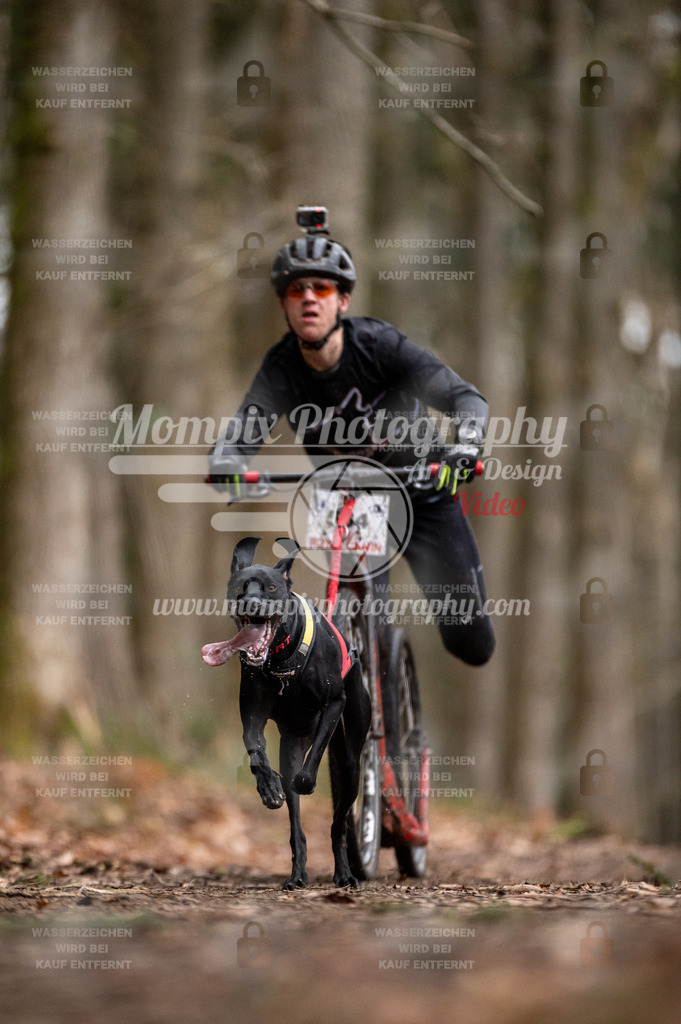 SPA_2023_DIM_Scooter-34 | PayLife